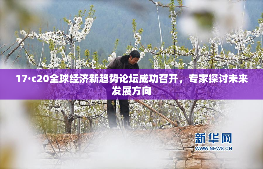 17·c20全球经济新趋势论坛成功召开，专家探讨未来发展方向
