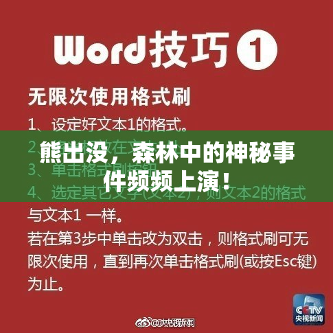 熊出没，森林中的神秘事件频频上演！