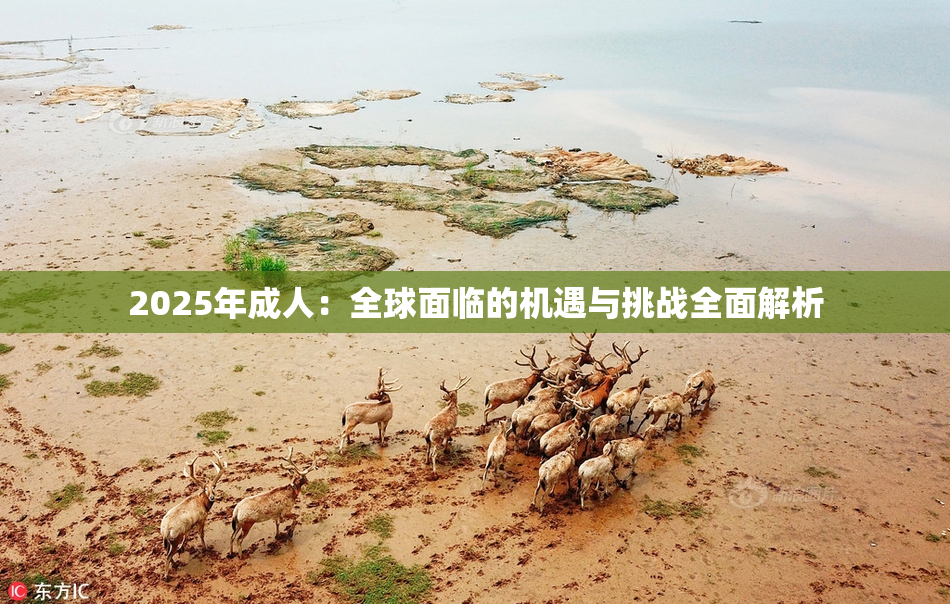 2025年成人：全球面临的机遇与挑战全面解析