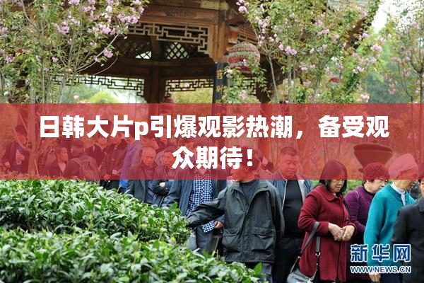 日韩大片p引爆观影热潮，备受观众期待！