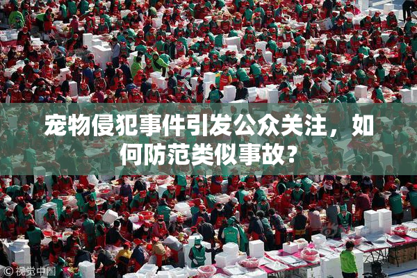 宠物侵犯事件引发公众关注，如何防范类似事故？