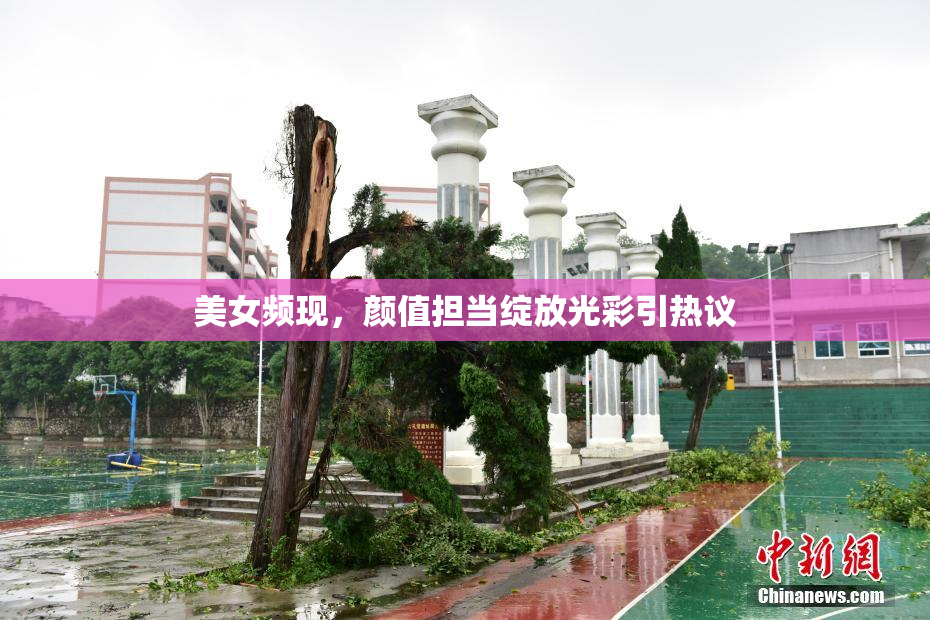 美女频现，颜值担当绽放光彩引热议