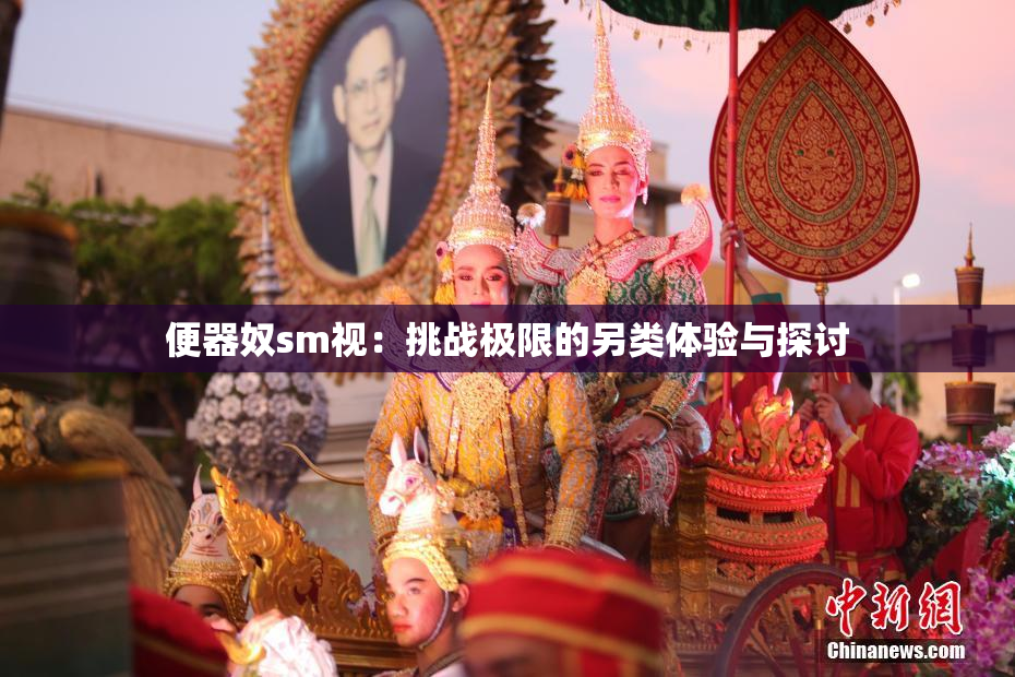 便器奴sm视：挑战极限的另类体验与探讨