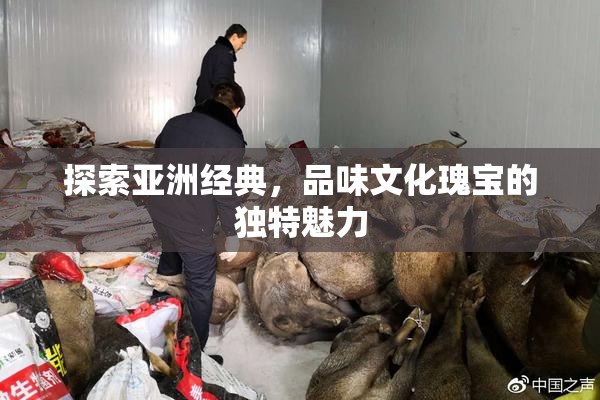 探索亚洲经典，品味文化瑰宝的独特魅力