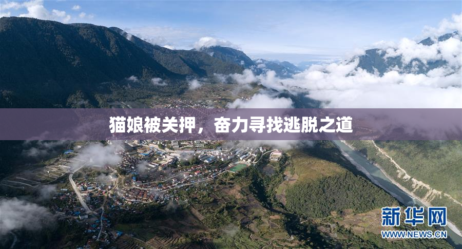 猫娘被关押，奋力寻找逃脱之道