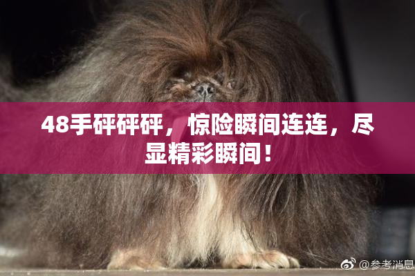 48手砰砰砰，惊险瞬间连连，尽显精彩瞬间！