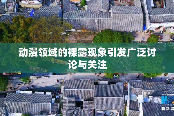 动漫领域的裸露现象引发广泛讨论与关注