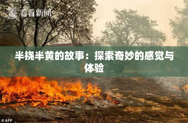 半挠半黄的故事：探索奇妙的感觉与体验