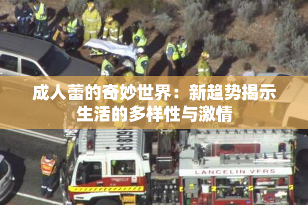 成人蕾的奇妙世界：新趋势揭示生活的多样性与激情