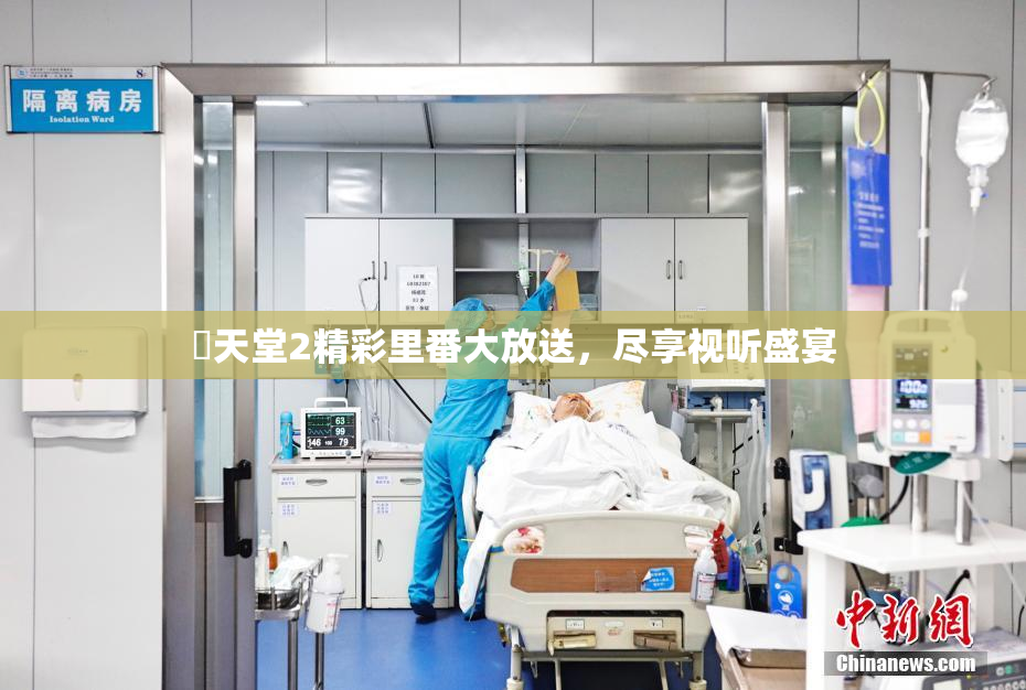 妺天堂2精彩里番大放送，尽享视听盛宴