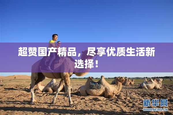 超赞国产精品，尽享优质生活新选择！