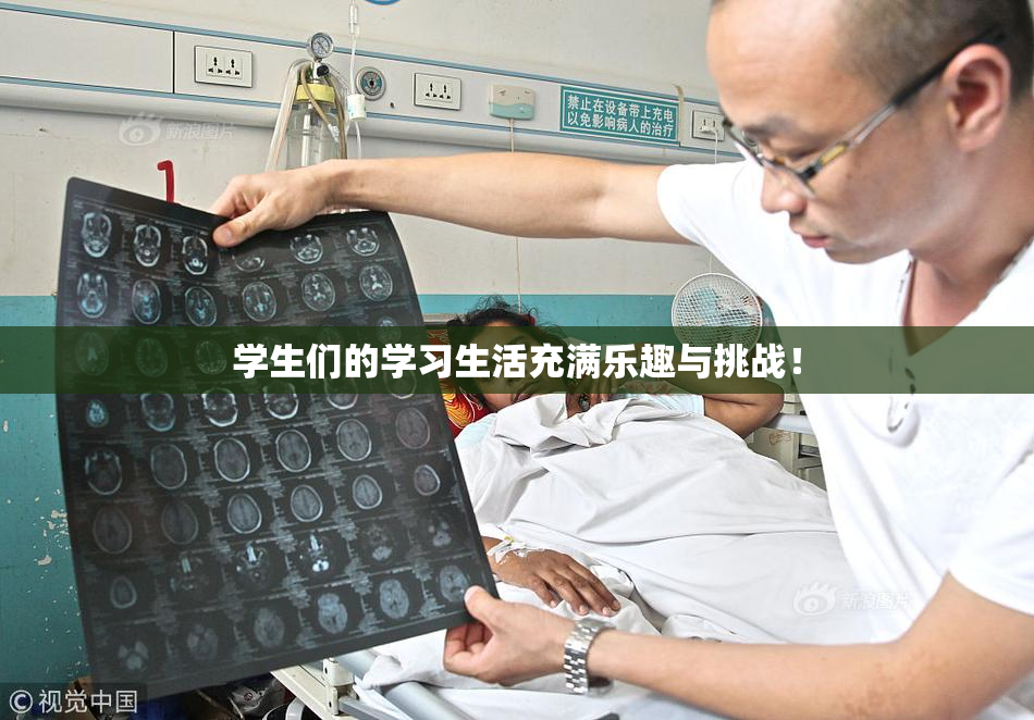 学生们的学习生活充满乐趣与挑战！