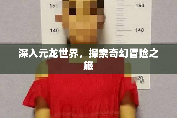 深入元龙世界，探索奇幻冒险之旅