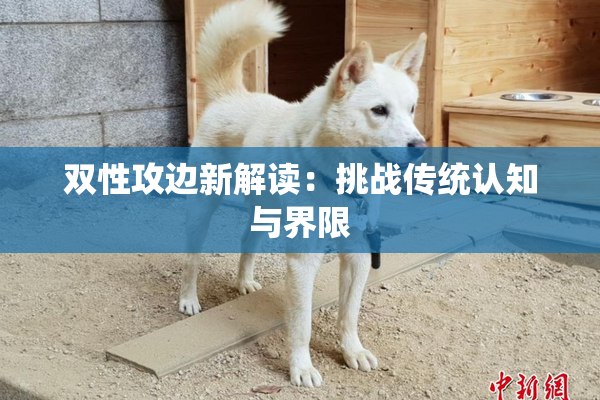 双性攻边新解读：挑战传统认知与界限