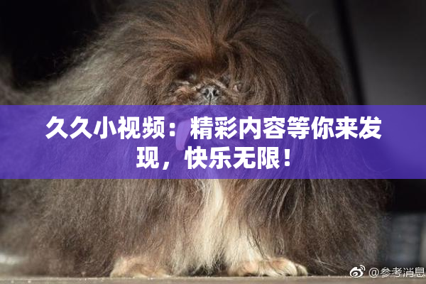 久久小视频：精彩内容等你来发现，快乐无限！