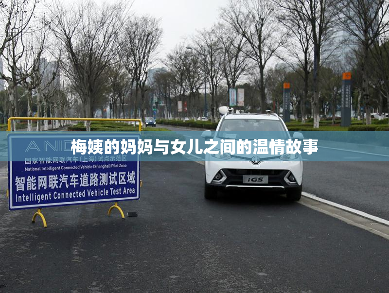 梅姨的妈妈与女儿之间的温情故事