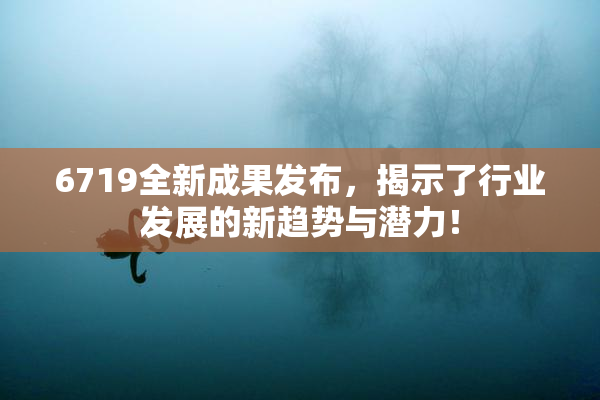 6719全新成果发布，揭示了行业发展的新趋势与潜力！