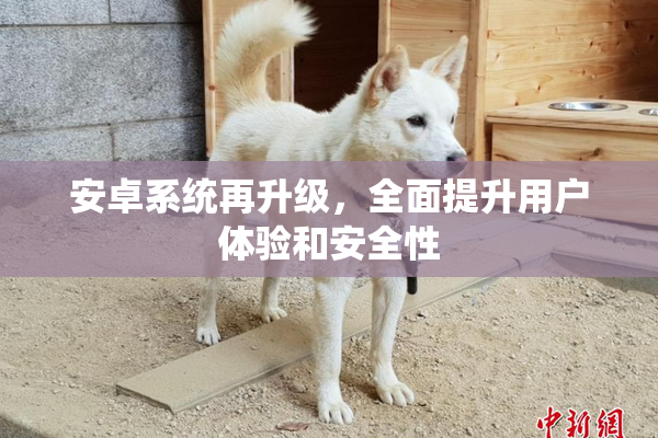 安卓系统再升级，全面提升用户体验和安全性