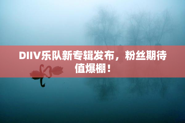 DIIV乐队新专辑发布，粉丝期待值爆棚！