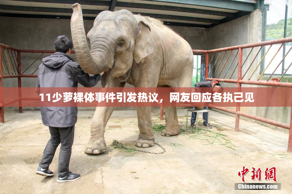 11少萝裸体事件引发热议，网友回应各执己见