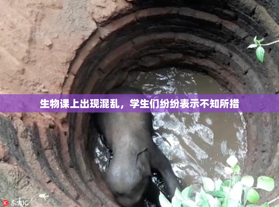 生物课上出现混乱，学生们纷纷表示不知所措