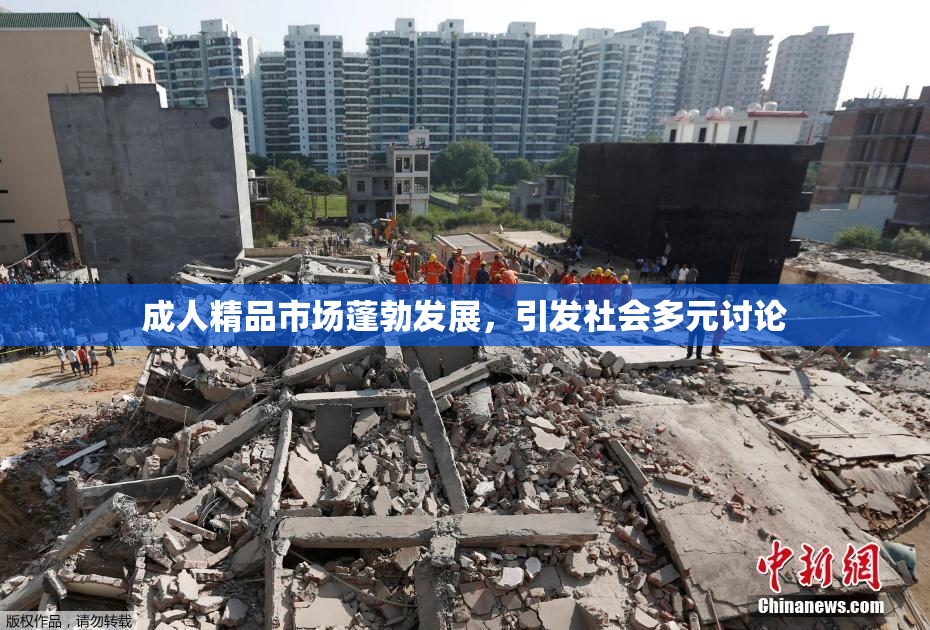 成人精品市场蓬勃发展，引发社会多元讨论