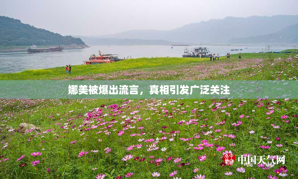 娜美被爆出流言，真相引发广泛关注