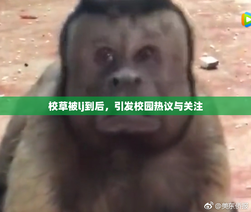 校草被lj到后，引发校园热议与关注