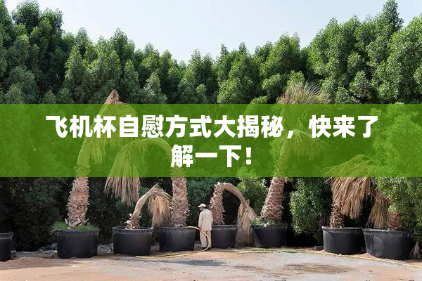 飞机杯自慰方式大揭秘，快来了解一下！