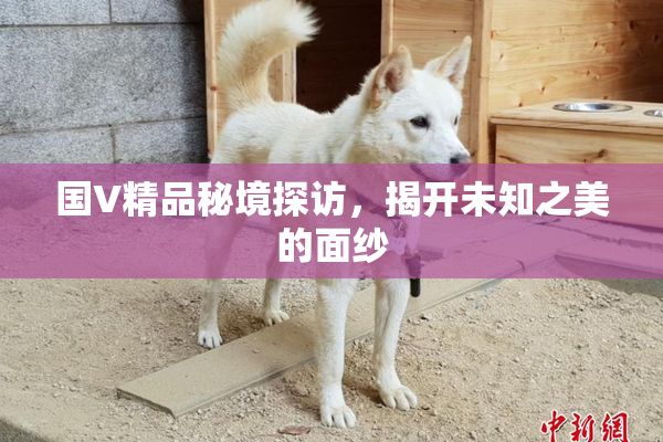 国V精品秘境探访，揭开未知之美的面纱
