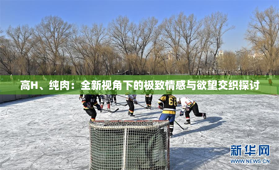 高H、纯肉：全新视角下的极致情感与欲望交织探讨