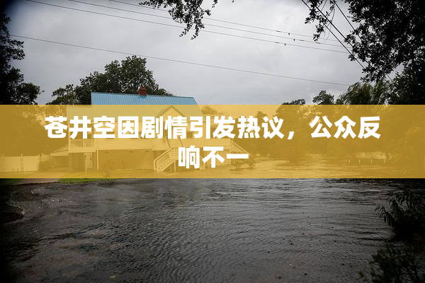 苍井空因剧情引发热议，公众反响不一