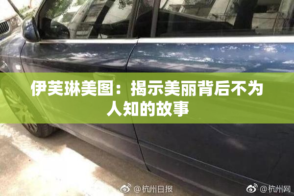 伊芙琳美图：揭示美丽背后不为人知的故事