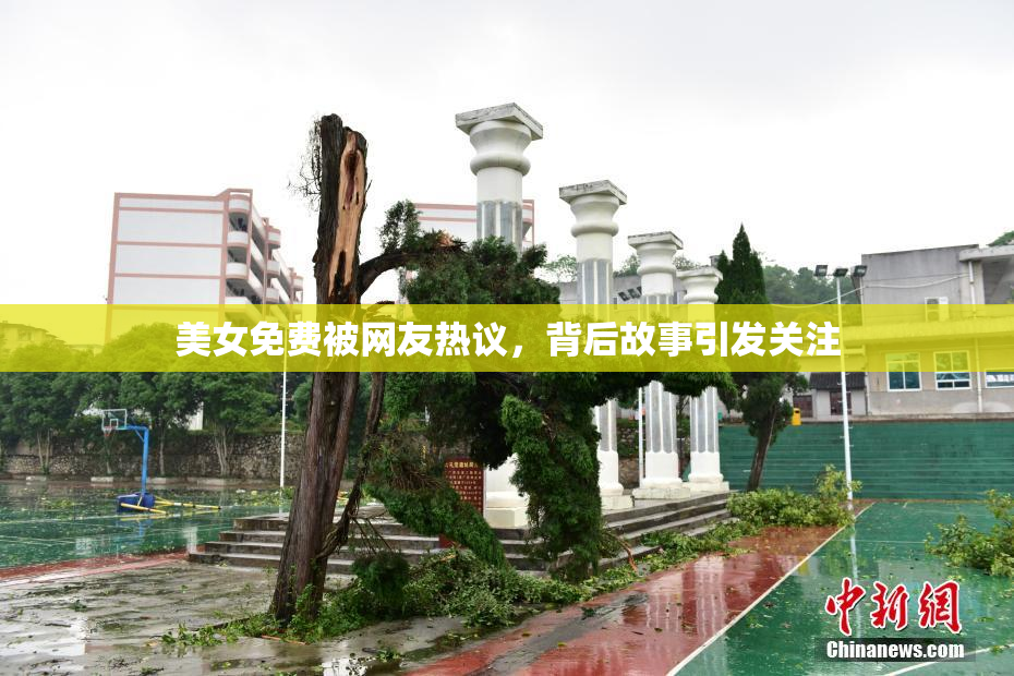 美女免费被网友热议，背后故事引发关注