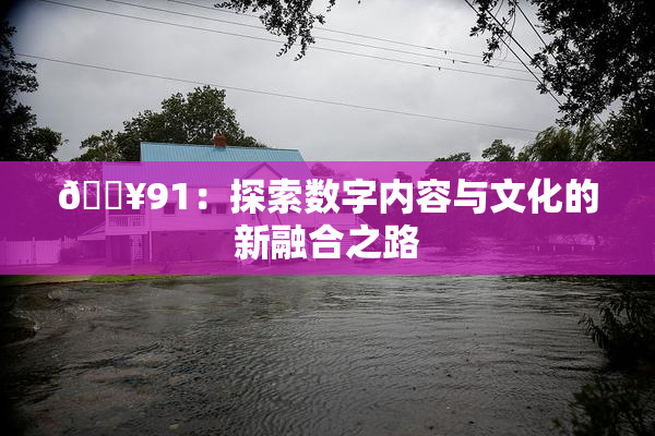 🔥91：探索数字内容与文化的新融合之路