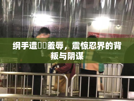纲手遭❌‌羞辱，震惊忍界的背叛与阴谋