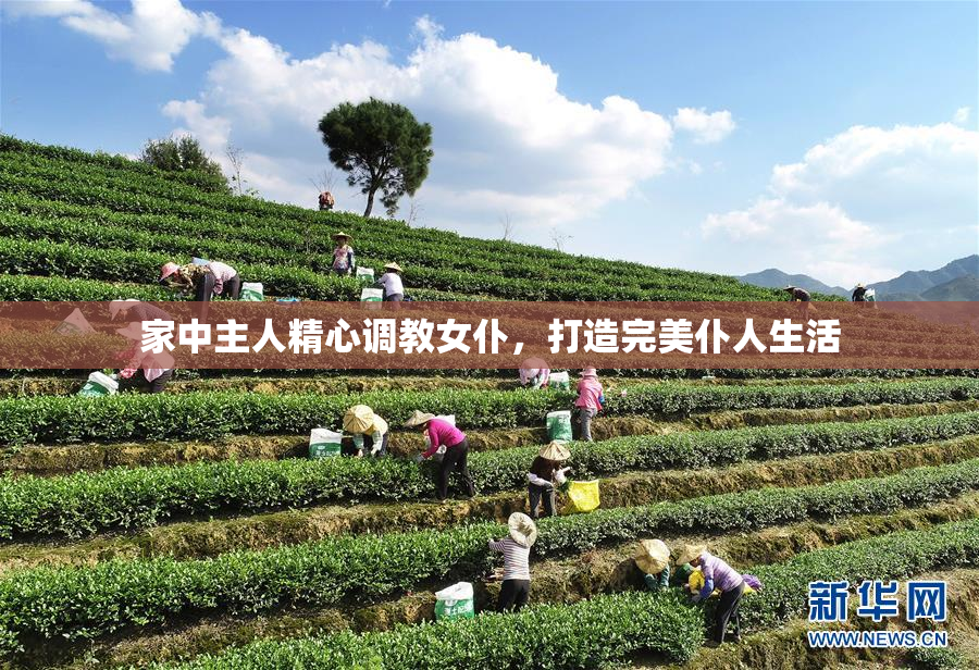家中主人精心调教女仆，打造完美仆人生活