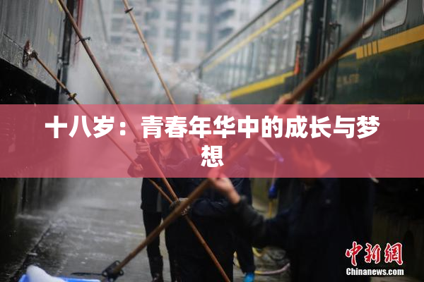 十八岁：青春年华中的成长与梦想