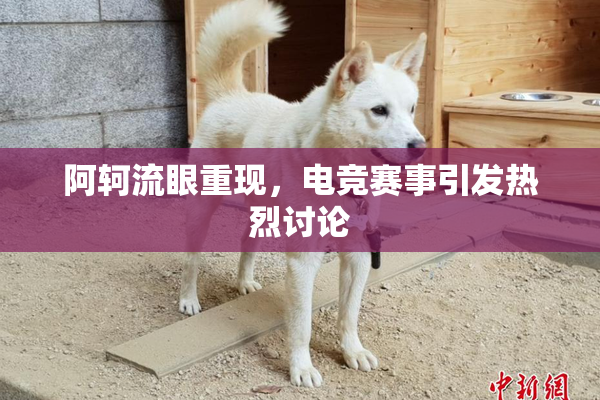 阿轲流眼重现，电竞赛事引发热烈讨论