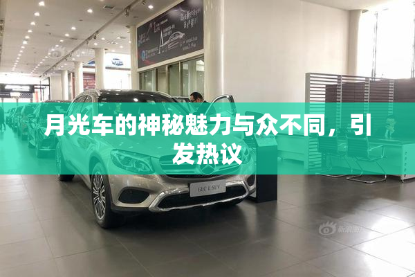 月光车的神秘魅力与众不同，引发热议