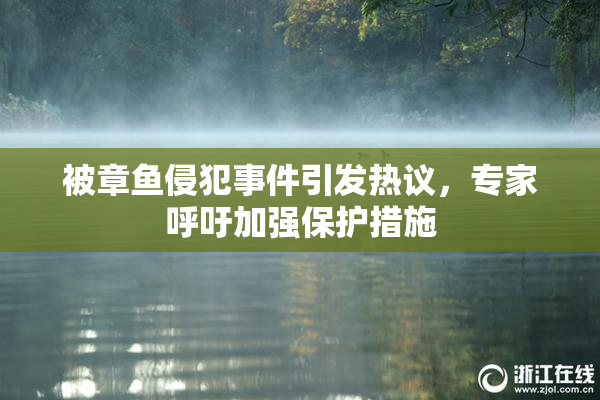 被章鱼侵犯事件引发热议，专家呼吁加强保护措施