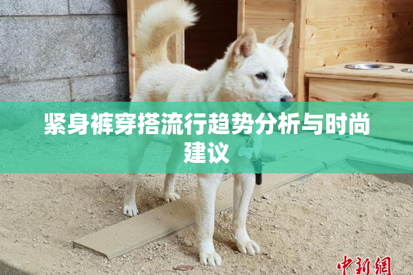 紧身裤穿搭流行趋势分析与时尚建议