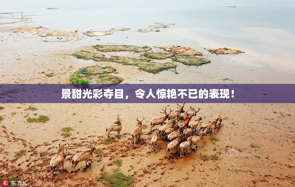 景甜光彩夺目，令人惊艳不已的表现！