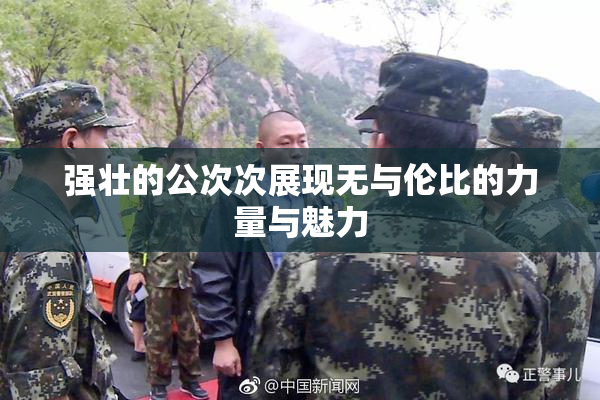 强壮的公次次展现无与伦比的力量与魅力