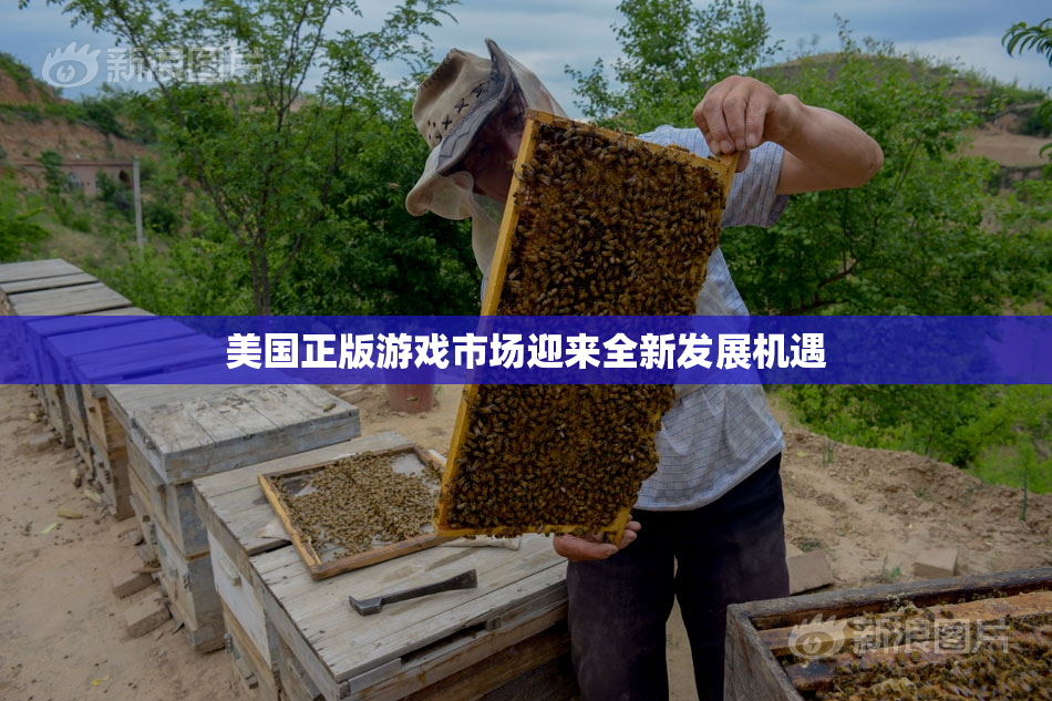 美国正版游戏市场迎来全新发展机遇