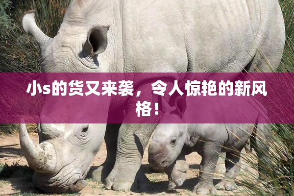 小s的货又来袭，令人惊艳的新风格！