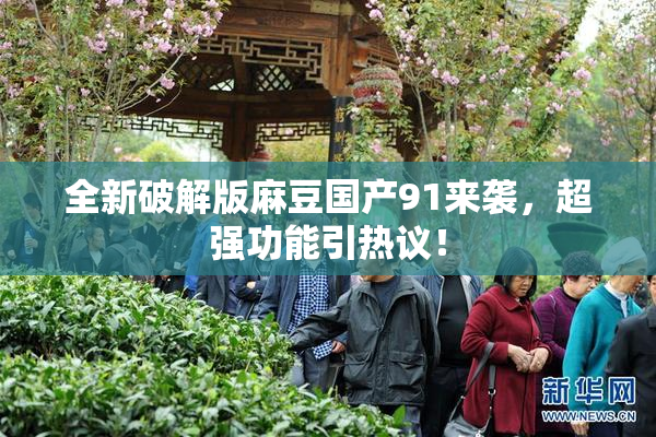 全新破解版麻豆国产91来袭，超强功能引热议！