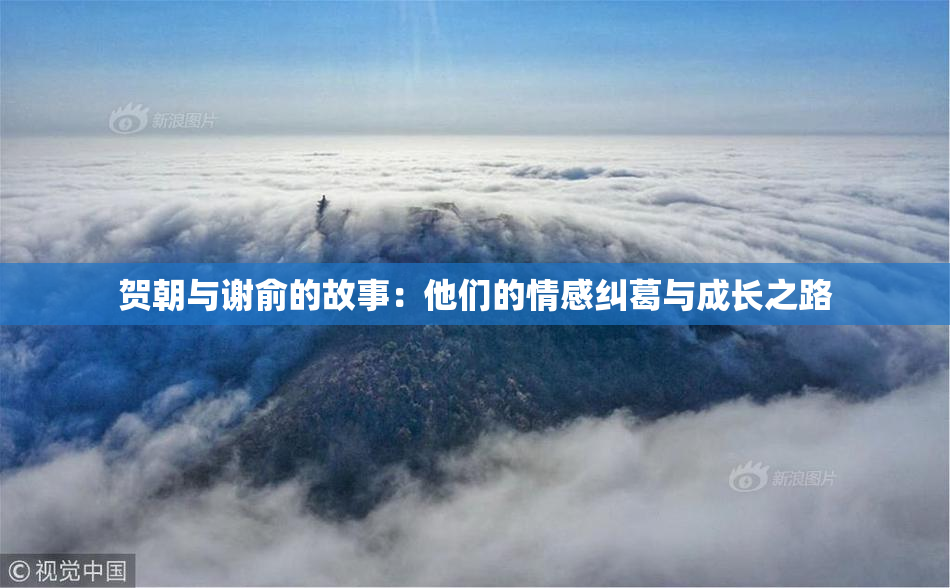 贺朝与谢俞的故事：他们的情感纠葛与成长之路
