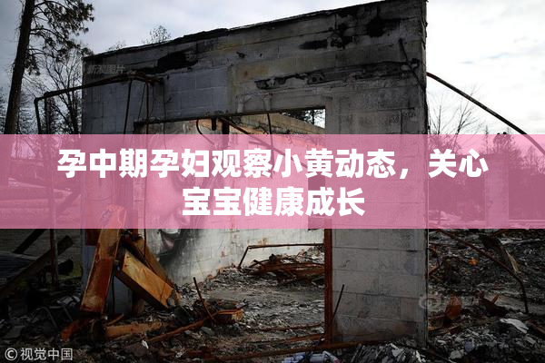 孕中期孕妇观察小黄动态，关心宝宝健康成长