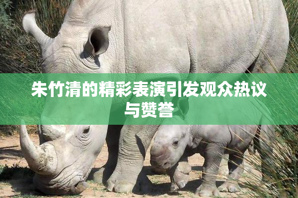 朱竹清的精彩表演引发观众热议与赞誉